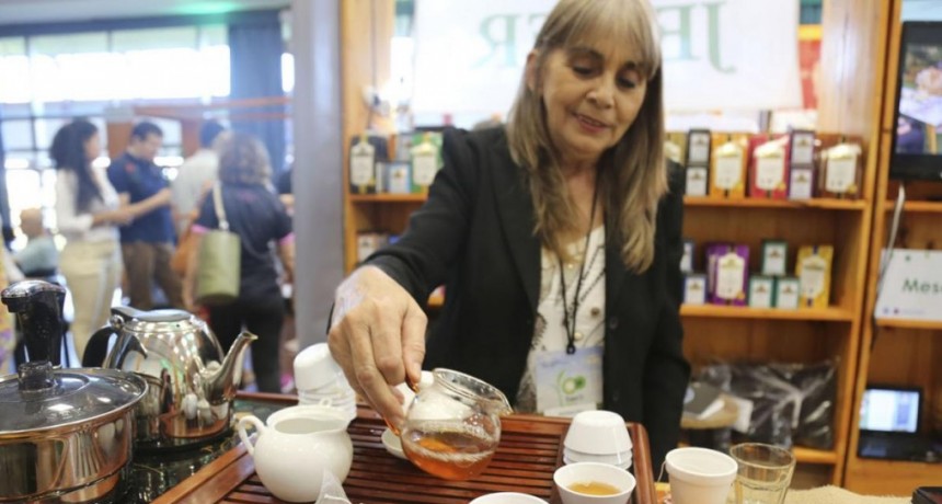 Expo Té Argentina: la milenaria bebida mostró todo su potencial en Misiones 